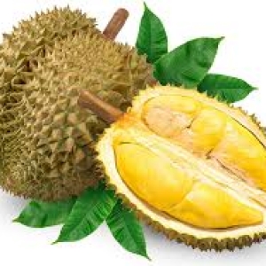 sau-rieng